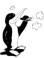 smoking penguin - (C) Andy Martello