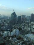 Thumbnail Tokyo view from Tokyo Tower. My company sits in white (twin) buildings on the right..jpeg 