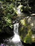 Thumbnail We thought this brook was the cascade.jpeg 